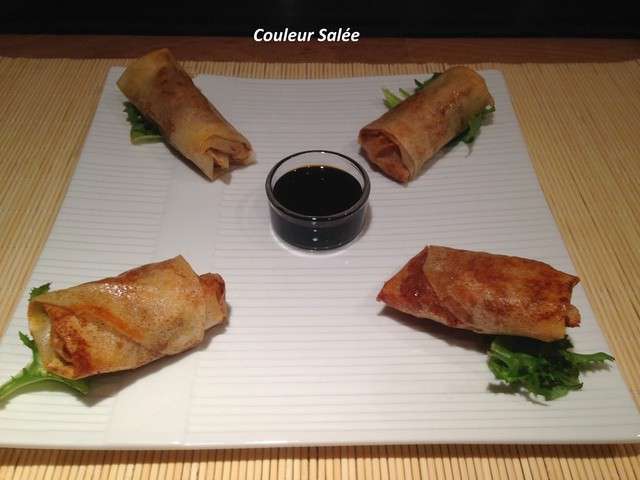 Recettes de Feuilles de Brick et Nems