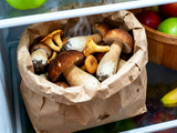 Comment conserver les champignons frais : 5 astuces efficaces