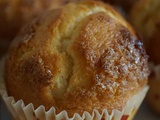 Magdalenas caseras ( madeleines espagnoles)