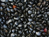 Combien de moules par personne ? j’ai pesé, calculé et testé pour ne plus jamais me tromper