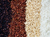 Comment cuire du riz à la perfection ? astuces et méthodes