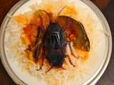 Defi insecte, Cafard grillé avec du riz et une sauce au curry poivron vert aubergine