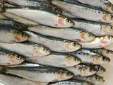 Comment préparer les sardines fraîches