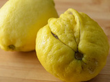 Crème de citron
