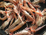 Cuisson des langoustines à la poêle : une autre façon de les sublimer