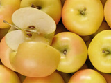 Pomme Rubis Gold