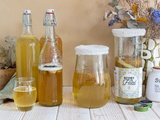 Kombucha maison : les bases pour bien démarrer