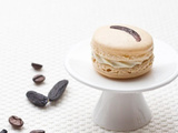 Macarons Vanille, Café & Tonka