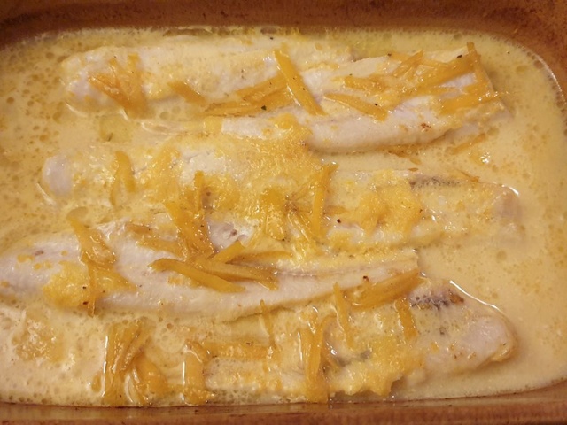 Recettes De Gratin De Poisson De Cuisine Belle Et Fine