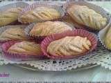 Gâteaux séc algeriens 2013