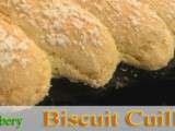 Biscuit Cuiller (recette de m.o.f)