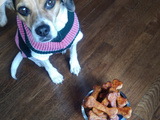 Biscuits pour Chien de Thomas Keller, 3 étoiles Michelin