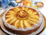 Gâteau aux Pommes de m.o.f Vincent Boué