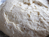 Levain Pâteux Rapide (“pâte fermentée sans sel”)