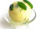 Sorbet Citron Vert Basilic de Pierre Hermé