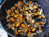 Choucroute aux moules