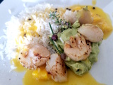 Noix de Saint-jacques sauce à l’orange et crème d’avocat