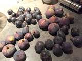 Arrivée des figues et de leurs recettes gourmandes