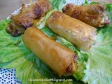 Cigares croustillants jambon fromages - recette express
