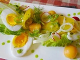 Salade estivale oeuf d'oie, tomate ananas, fenouil, radis, kiwi jaune, melon, vinaigrette de basilic