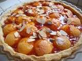 Tarte aux abricots et sa pâte sablée maison facile