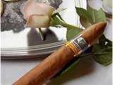 Cohiba bhk - Piramides Extra