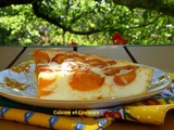 Flan aux petits suisses et aux abricots