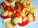 Orecchiette tomate-mozarella et basilic (pâte tomate-mozzarella et basilic)