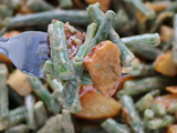 Salade haricots verts-pommes de terre au paprika