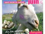 Foire aux fromages à St Maure de Touraine 37 les 7 et 08 Juin 2014