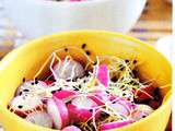 Salade de radis aux graines germées