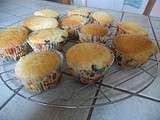 Muffins noix de coco et pépites de chocolat