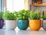 Comment choisir les meilleurs pots pour les herbes aromatiques en fonction de leur exposition solaire