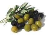 Olive verte ou noire