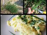 Omelette à la ciboulette du jardin (129kcal)