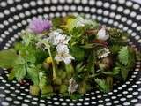 Salade de plantes sauvages comestibles