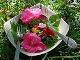 Salade de plantes sauvages : fleurs, mélilot, amarante, berce etc
