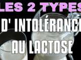 2 types d’INTOLÉRANCE au lactose – dans quel groupe êtes-vous