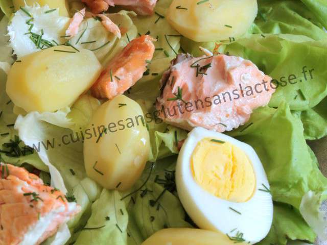 Recettes de Salades de Cuisine Sans Gluten et Sans Lactose