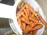 Dernier carottes