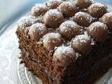 Gâteau au chocolat avec crème mousseuse au chocolat et billes de Maltesers