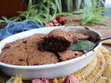 Mycook Touch, Brownie ultra fondant