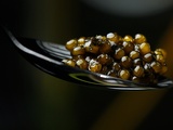 Plats originaux au caviar à essayer à Noël
