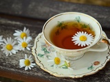 Tout savoir sur l’histoire et les origines du thé