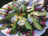 Salade avocat/asperges vertes croquantes /radis et beaucoup d’autres petites choses très gourmandes
