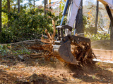 How to Choose the Right Mulcher for a Skid Steer
