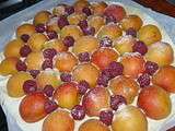 Tarte abricots / Framboises