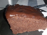 Gâteau au chocolat léger avec smarty