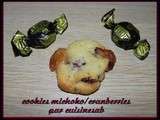 Cookies michoko/cranberries