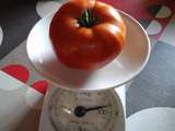 Bien belle tomate
